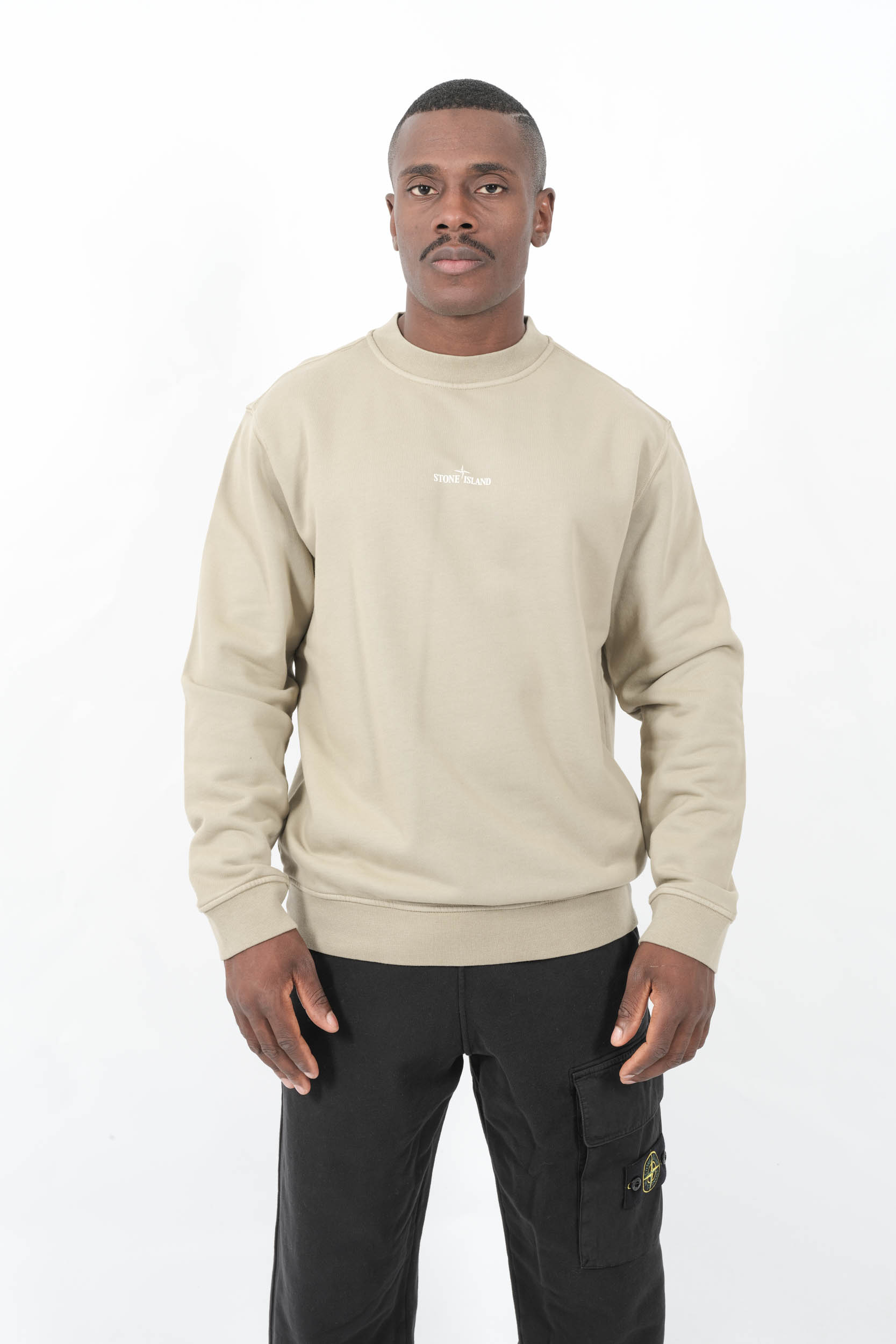  Image du produit SWEAT STONE ISLAND OVERSIZE BEIGE AVEC IMPRIME DANS LE DOS 6100018-V009A - 4